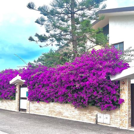 巴里Tulipano Rosso公寓 外观 照片